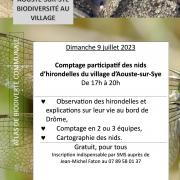 Affichette hirondelles 9 juillet 2024