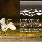 Les yeux dans l eau